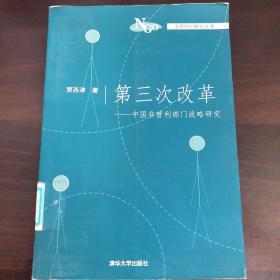 第三次改革：中国非营利部门战略研究