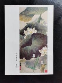 国画美术片：荷塘佳境  陈贞馥 绘画