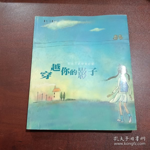 穿越你的影子——张洁月光少女小说