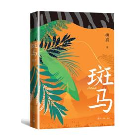 斑马（傅真2022年全新力作，从北京到曼谷，跨越三千二百公里的治愈之旅）