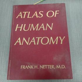 ATLAS OF HUMAN ANATOMY  详细见图