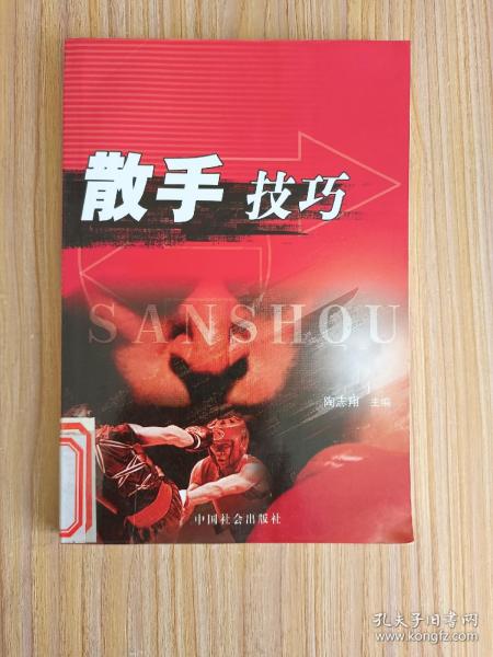散手技巧