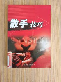 散手技巧