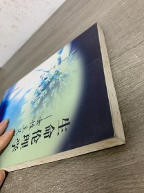 生命伦理学——女性主义视角