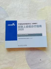 中国临床肿瘤学会（CSCO）尿路上皮癌诊疗指南2020