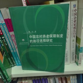 中国农村养老保障制度的路径选择研究