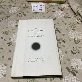英文原版：The Little Book of Black Holes