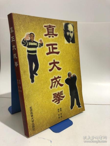 真正大成拳