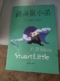 精灵鼠小弟