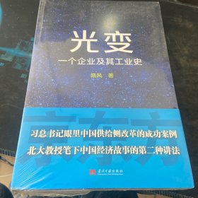 光变：一个企业及其工业史