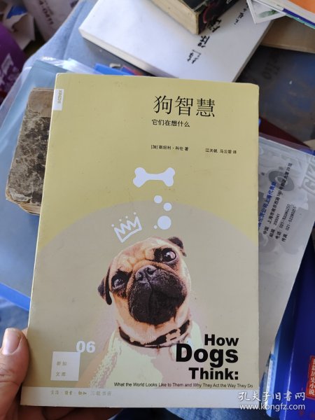 狗智慧：它们在想什么