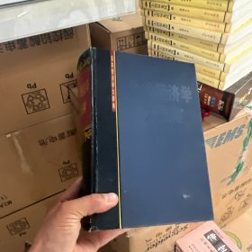 公共经济学大辞典 大16开