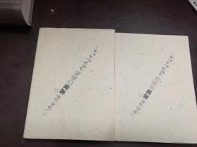 家族:长篇小说 上下全