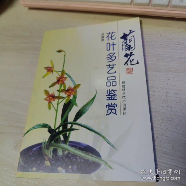 兰花花叶多艺品鉴赏