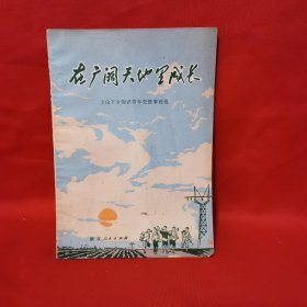 在广阔天地里成长