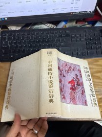中国通俗小说鉴赏辞典