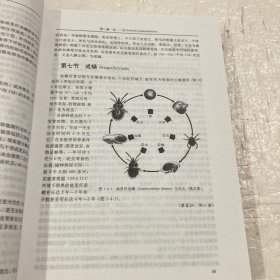 中国恙螨:恙虫病媒介和病原体研究