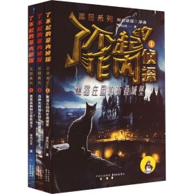 了不起的菲内侦探 黑猫系列(1-3) 童话故事 菲内公主 新华正版