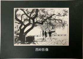 当代摄影作品一幅 — 《古树下》 （刘玉海·摄）