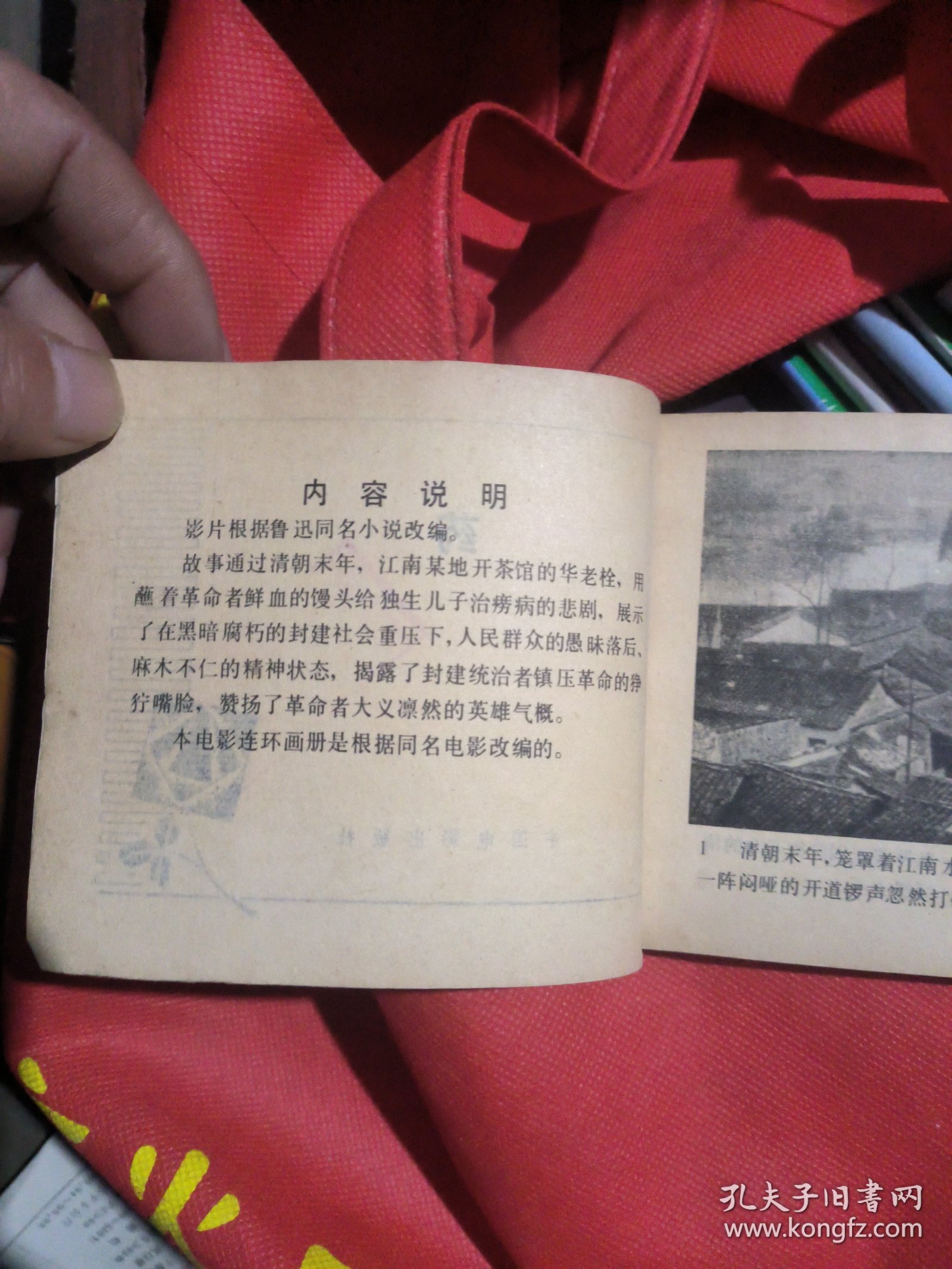 电影连环画：药（馆书）