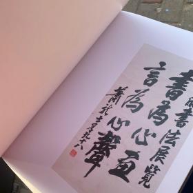 闫梓照书法艺术   未拆封