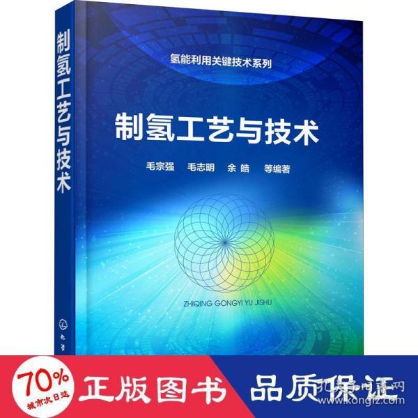 氢能利用关键技术系列--制氢工艺与技术