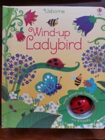 Wind-UpLadybird