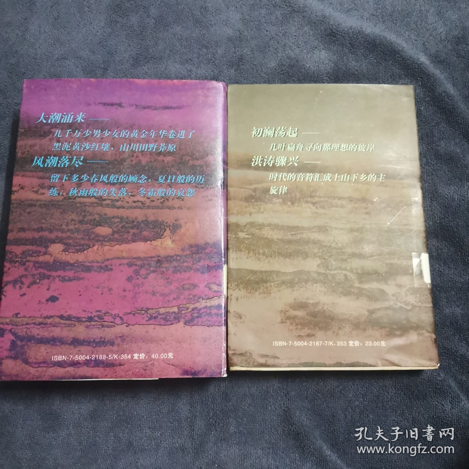 中国知青史：初澜（1953一1968年）+大潮（1966一1980年）共两册合售