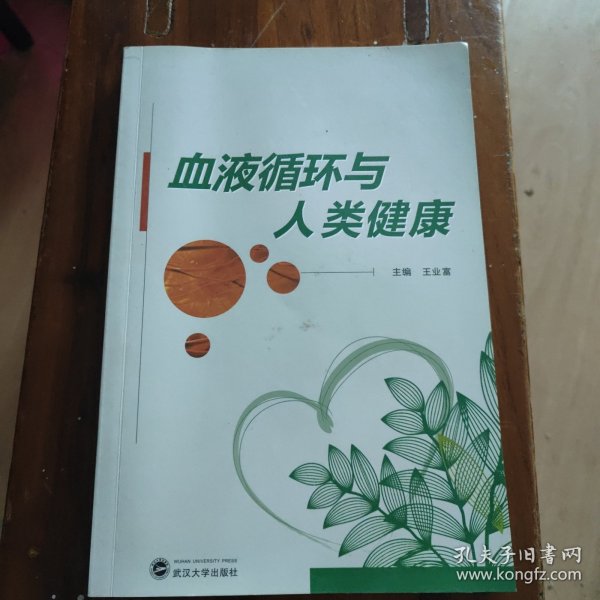 血液循环与人类健康