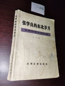 张学良的东北岁月:少帅传奇生涯纪实