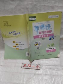 (写过很多)2022版新课程学习与测评同步学习化学九年级全一册人教版