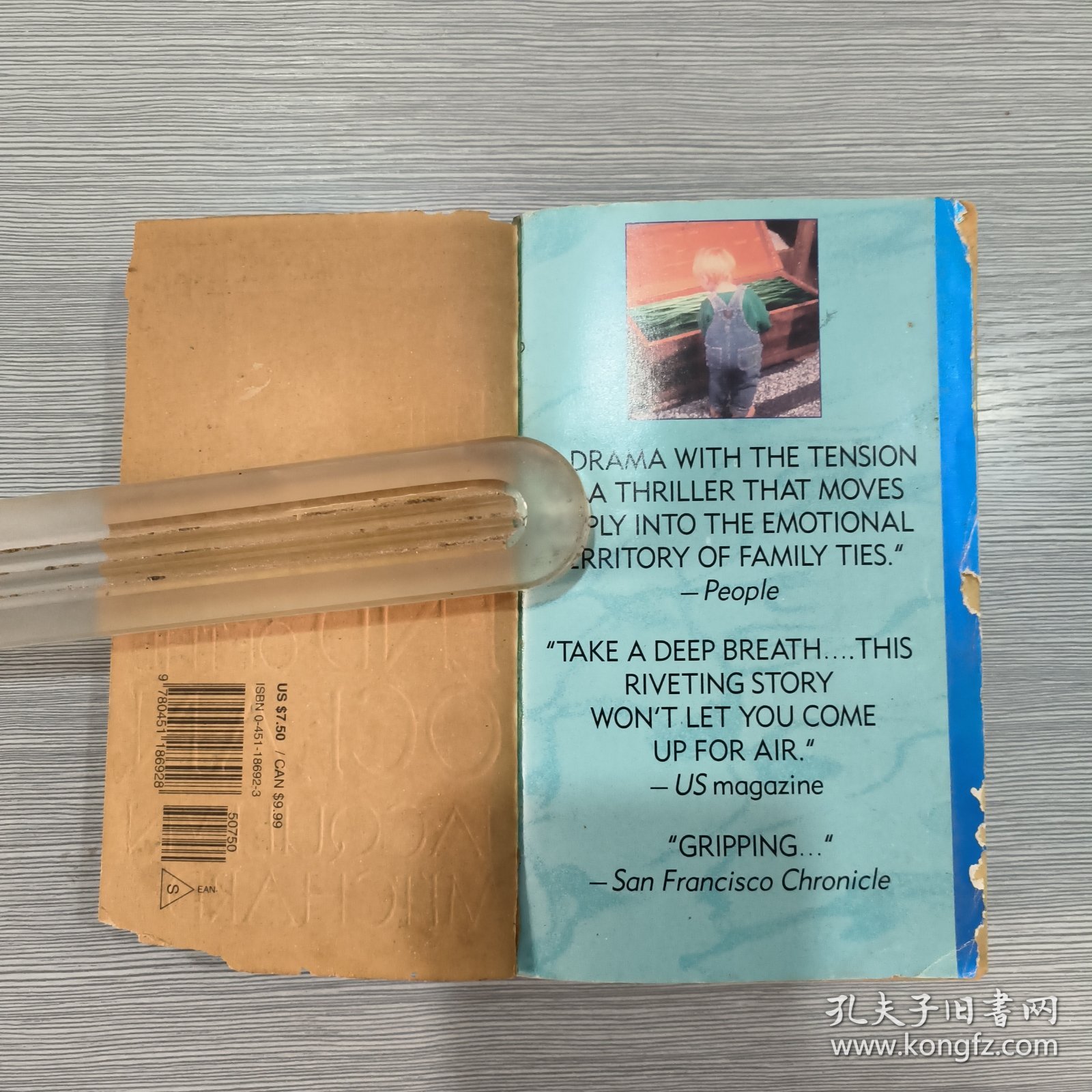 英文原版 The Deep End of the Ocean 36开