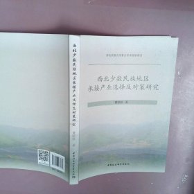 西北少数民族地区承接产业选择及对策研究