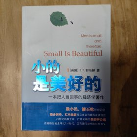 小的是美好的：一本把人当回事的经济学著作