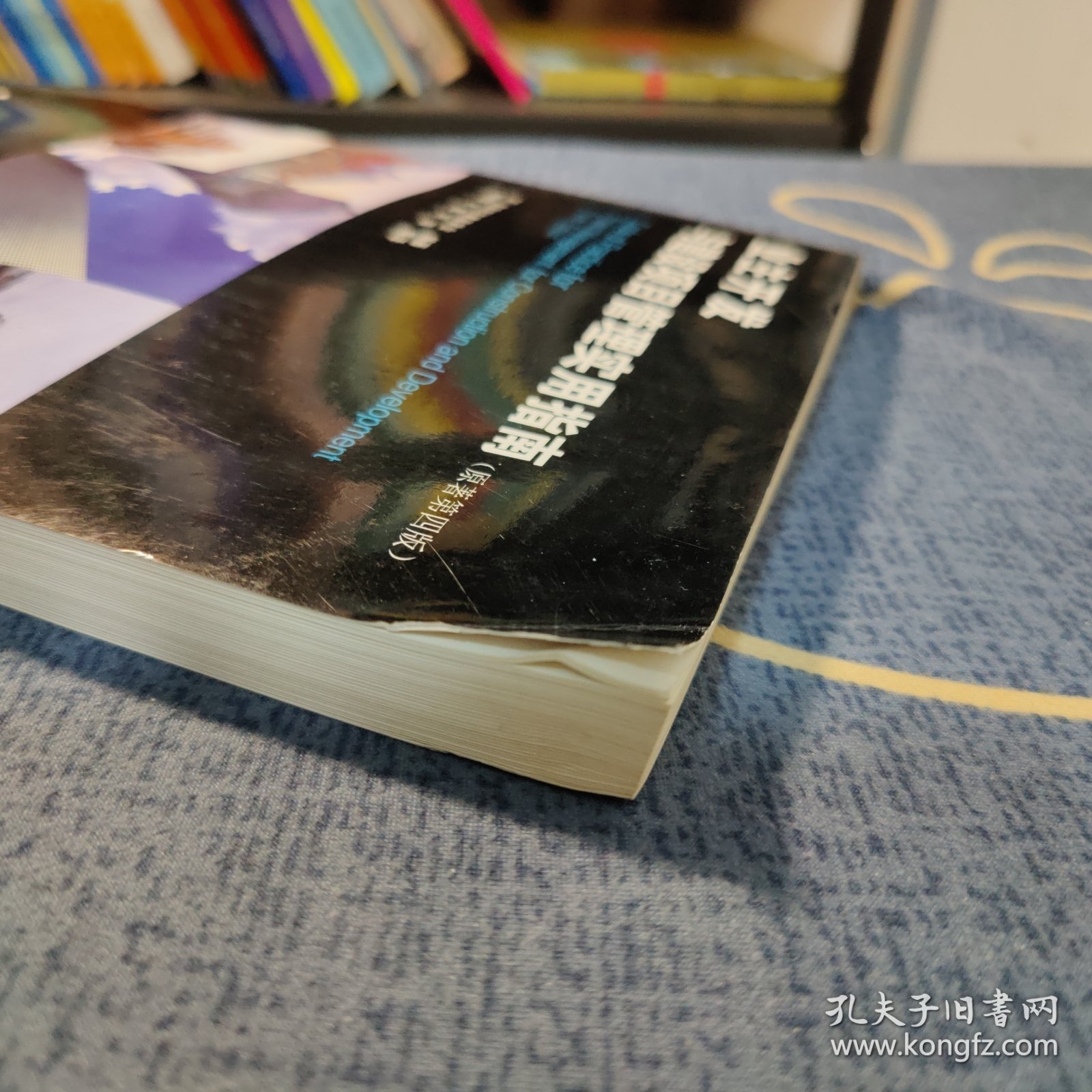 业主开发与建设项目管理实用指南（原著第四版）