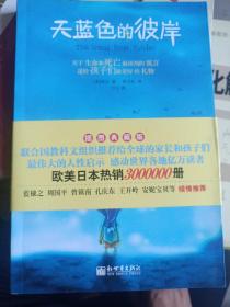 天蓝色的彼岸：关于生命和死亡最深刻的寓言