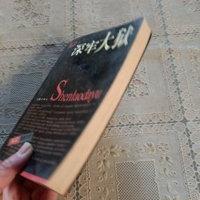 深牢大狱：海岩最新力作