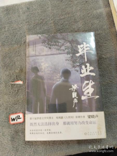 毕业生（第十届茅盾文学奖得主，电视剧《人世间》原著作者梁晓声——写给年轻人的人生重启指南！致焦虑迷茫的毕业生、进退两难的在校生）