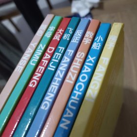 房子 小船 数字 反正 飞机 大风 字母 颜色（8本合售）