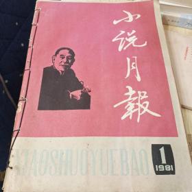 小说月报 1981年1-6