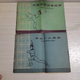 甲组女子长拳图解 十，甲组男子长拳图