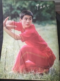 中华武术，冠军英姿，少林武功，练武术，鹰爪拳，武林人物，优秀武术运动员，武当剑对练法，教学与训练，学练武当剑，少林红拳，梅花枪，绳镖，散打八字谈，女子防身实用招法，防身武术，太极拳辅导，健康，武术史话，山西武术，北京杨派太极拳的起源，中国武术，武术入门，