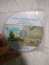 2012济南 山东省初中美术优质课展评 评比录像光盘 黑白装饰画的美感