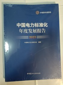 中国电力标准化年度发展报告 2023