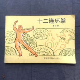 十二连环拳