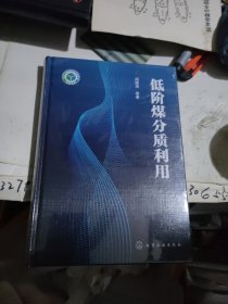 低阶煤分质利用