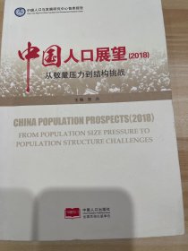 中国人口展望(2018) 从数量压力到结构挑战
