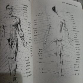软组织伤病治疗手法图谱