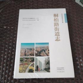 桐柏路街道志  郑州市名街志文化工程【全新带塑封】