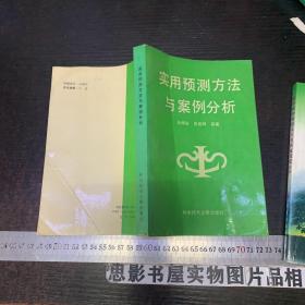 实用预测方法与案例分析【一版一印 扉页几个字迹 除此之外无章无字迹】